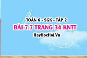 Bài 7.7 trang 34 Toán 6 Tập 2 Kết nối tri thức